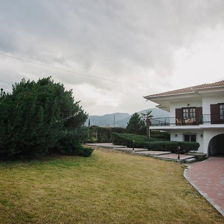 Mythic House Villa Leptokarya  Dış mekan fotoğraf