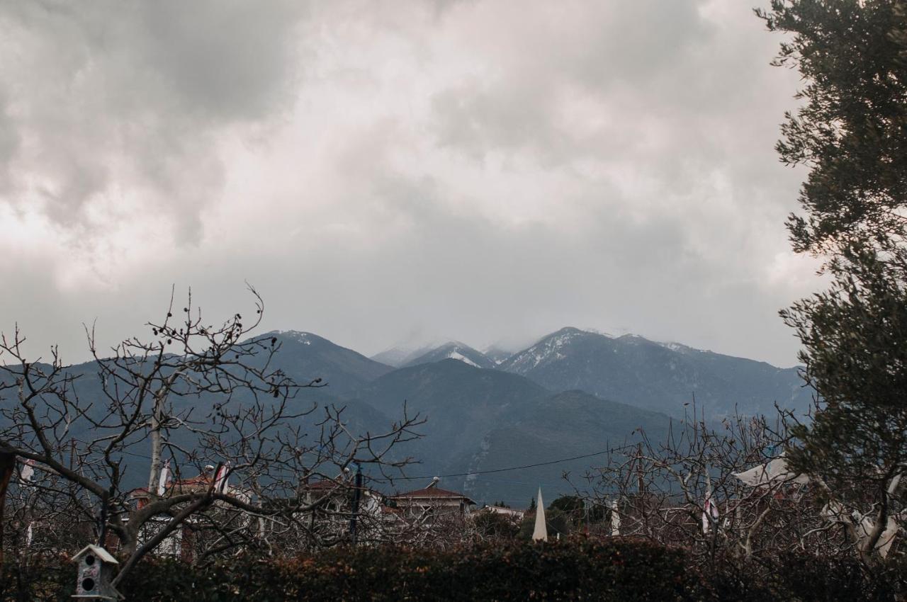 Mythic House Villa Leptokarya  Dış mekan fotoğraf
